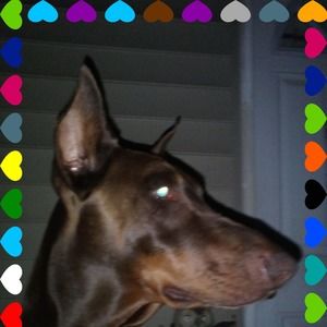 Meet your Posher, Karla